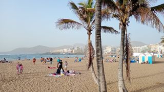 GC-Paseo Las Canteras (Las Palmas) 2026-140.jpg
